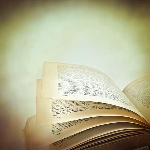 Open novel